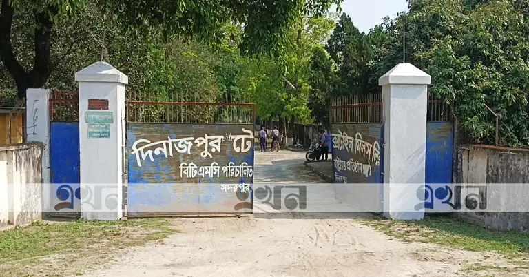 দিনাজপুর টেক্সটাইল মিল